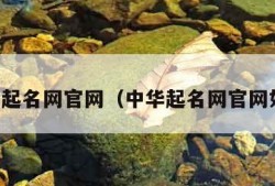中华起名网官网（中华起名网官网如何）