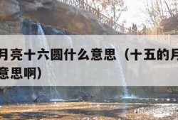 十五的月亮十六圆什么意思（十五的月亮十六圆什么意思啊）