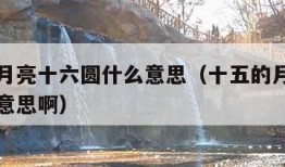十五的月亮十六圆什么意思（十五的月亮十六圆什么意思啊）