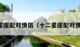 十二星座配对情侣（十二星座配对情侣表）