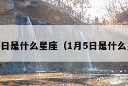 1月6日是什么星座（1月5日是什么星座）