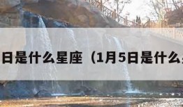 1月6日是什么星座（1月5日是什么星座）