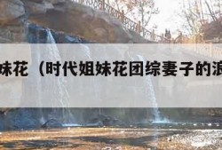 时代姐妹花（时代姐妹花团综妻子的浪漫旅行）