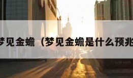 梦见金蟾（梦见金蟾是什么预兆）