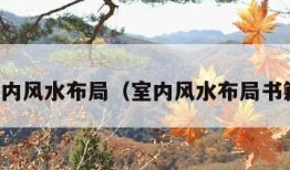 室内风水布局（室内风水布局书籍）