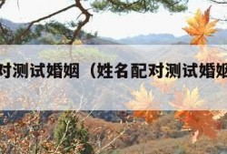 姓名配对测试婚姻（姓名配对测试婚姻免费测试）