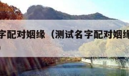 测试名字配对姻缘（测试名字配对姻缘有安全隐患吗）