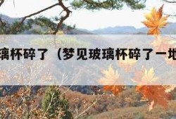 梦见玻璃杯碎了（梦见玻璃杯碎了一地预示着什么?）