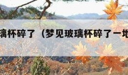 梦见玻璃杯碎了（梦见玻璃杯碎了一地预示着什么?）