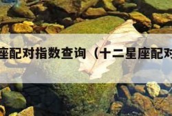 十二星座配对指数查询（十二星座配对排行表）