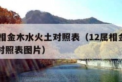 12属相金木水火土对照表（12属相金木水火土对照表图片）