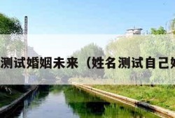 姓名测试婚姻未来（姓名测试自己婚姻）