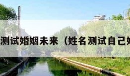 姓名测试婚姻未来（姓名测试自己婚姻）