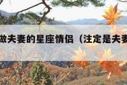 注定能做夫妻的星座情侣（注定是夫妻的星座配对）