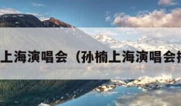 孙楠上海演唱会（孙楠上海演唱会拯救）
