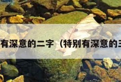 特别有深意的二字（特别有深意的三字）