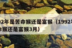 1992年是苦命猴还是富猴（1992年是苦命猴还是富猴3月）