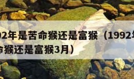 1992年是苦命猴还是富猴（1992年是苦命猴还是富猴3月）