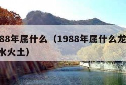 1988年属什么（1988年属什么龙,金木水火土）