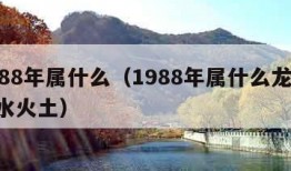 1988年属什么（1988年属什么龙,金木水火土）