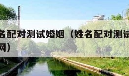 免费姓名配对测试婚姻（姓名配对测试婚姻三藏算命网）