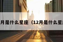 11月是什么星座（12月是什么星座）