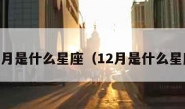 11月是什么星座（12月是什么星座）