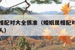 婚姻属相配对大全很准（婚姻属相配对大全很准的女人）