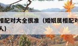 婚姻属相配对大全很准（婚姻属相配对大全很准的女人）