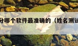 姓名打分哪个软件最准确的（姓名测试打分软件下载）
