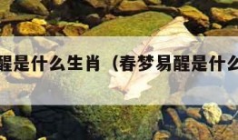 春梦易醒是什么生肖（春梦易醒是什么生肖呢）