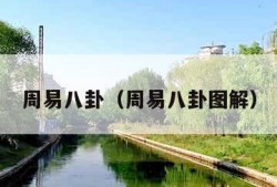 周易八卦（周易八卦图解）