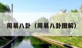 周易八卦（周易八卦图解）