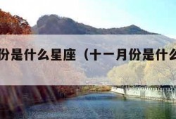 十一月份是什么星座（十一月份是什么星座男生）