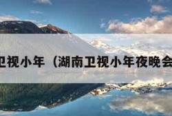 湖南卫视小年（湖南卫视小年夜晚会回放）