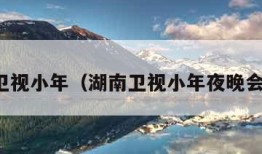 湖南卫视小年（湖南卫视小年夜晚会回放）