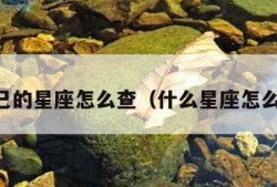 自己的星座怎么查（什么星座怎么查）