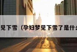 孕妇梦见下雪（孕妇梦见下雪了是什么意思）