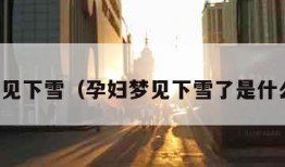孕妇梦见下雪（孕妇梦见下雪了是什么意思）