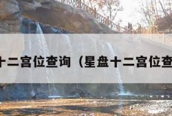 星盘十二宫位查询（星盘十二宫位查询表）