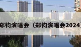 郑钧演唱会（郑钧演唱会2024）