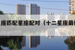 十二星座匹配星座配对（十二星座最佳cp表）