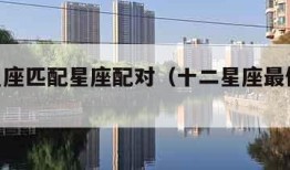 十二星座匹配星座配对（十二星座最佳cp表）