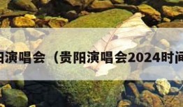 贵阳演唱会（贵阳演唱会2024时间表）
