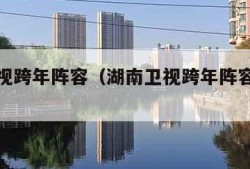 湖南卫视跨年阵容（湖南卫视跨年阵容节目单顺序）