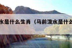 马前泼水是什么生肖（马前泼水是什么生肖动物）