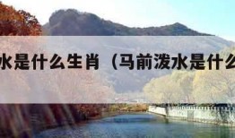 马前泼水是什么生肖（马前泼水是什么生肖动物）