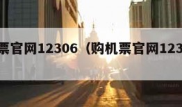 购票官网12306（购机票官网12306）