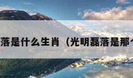 光明磊落是什么生肖（光明磊落是那个生肖）