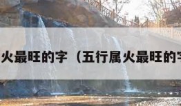 五行属火最旺的字（五行属火最旺的字男孩）